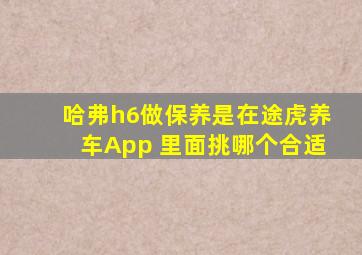 哈弗h6做保养是在途虎养车App 里面挑哪个合适